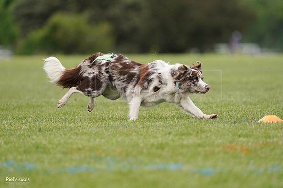 RielVisuals_20240526_110135_SJR00180