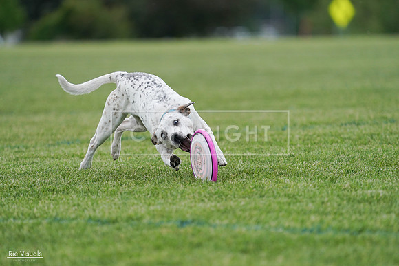 RielVisuals_20240525_135409_SJR09863