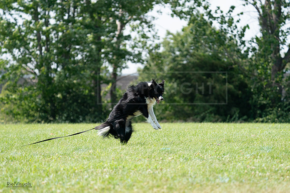RielVisuals_20240728_152254_SJR00713