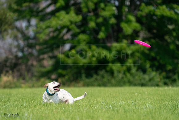 RielVisuals_20240727_095437_SJR08019