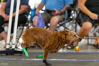 RielVisuals_20260801_083906_SJR_1673