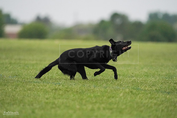 RielVisuals_20240527_093319_SJR07696