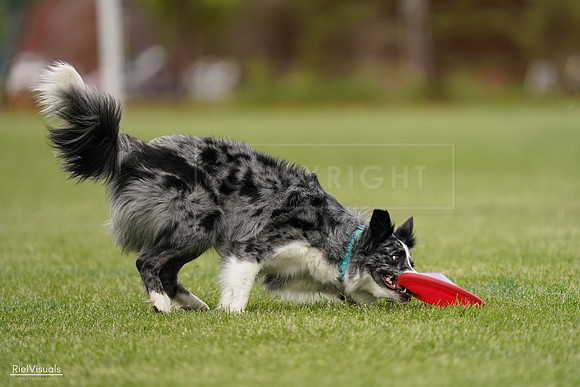 RielVisuals_20240526_133316_SJR08209