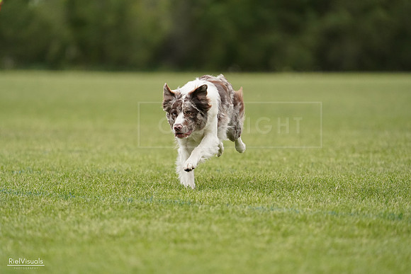 RielVisuals_20240526_132929_SJR07936