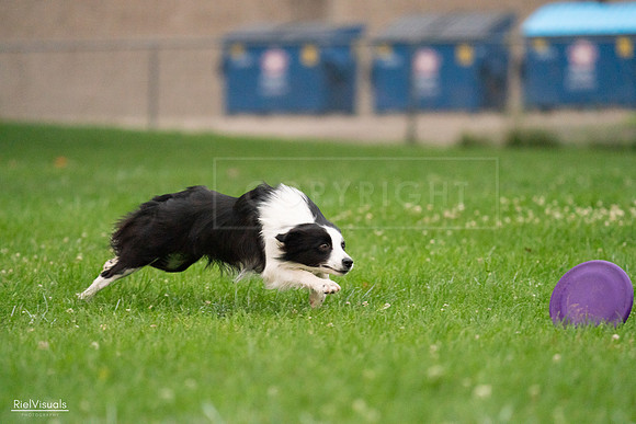 RielVisuals_20240722_194528_SJR02067