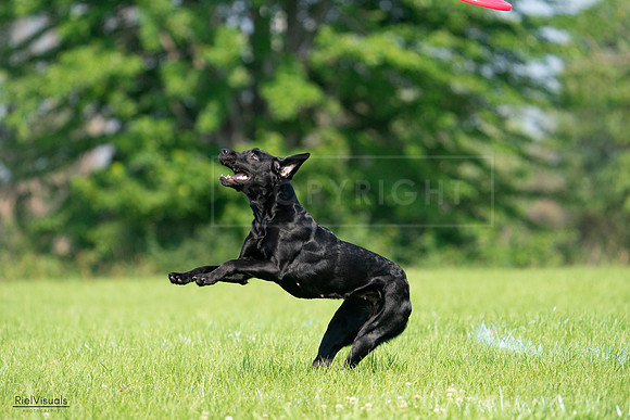 RielVisuals_20240727_100913_SJR08665
