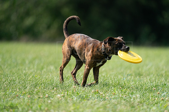 RielVisuals_20240728_151730_SJR00507