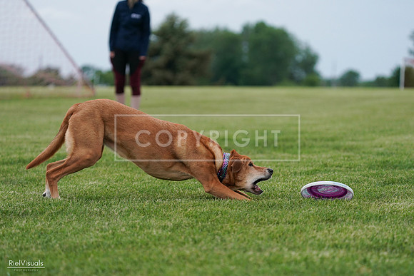 RielVisuals_20240525_161933_SJR04152