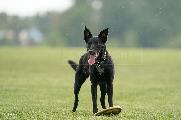 RielVisuals_20240526_092446_SJR09934