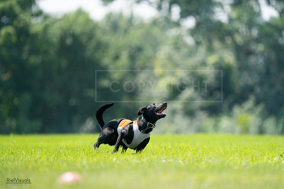 RielVisuals_20240727_130519_SJR06790