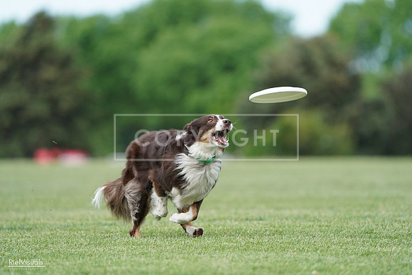 RielVisuals_20240525_090326_SJR09468