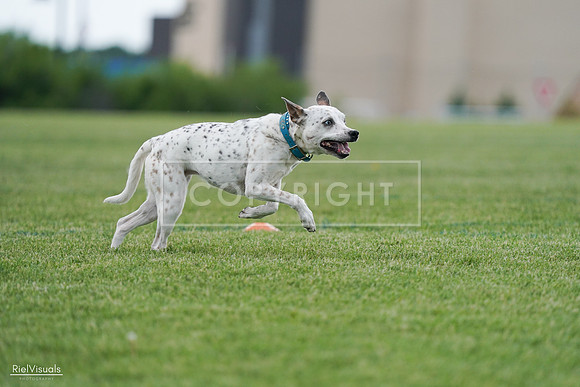 RielVisuals_20240525_135357_SJR09814