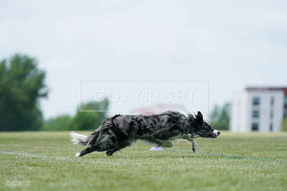RielVisuals_20240525_124400_SJR01040