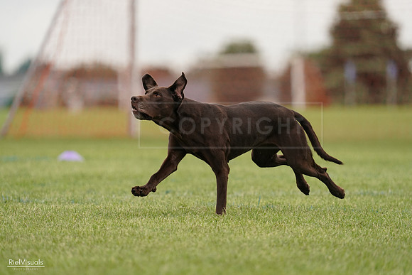 RielVisuals_20240527_132518_SJR09691