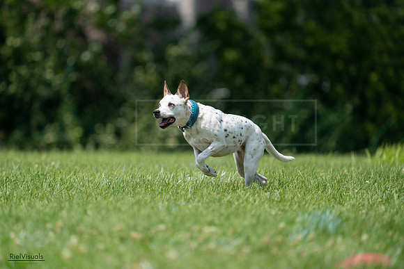 RielVisuals_20240727_134612_SJR08344