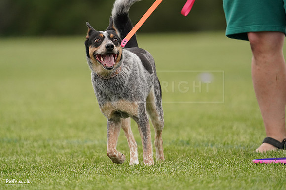 RielVisuals_20240526_133713_SJR08361