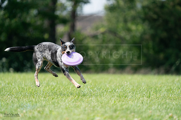 RielVisuals_20240728_145203_SJR09377