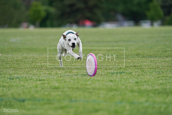 RielVisuals_20240525_135408_SJR09851