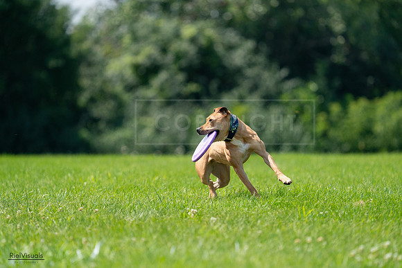RielVisuals_20240728_114455_SJR01809