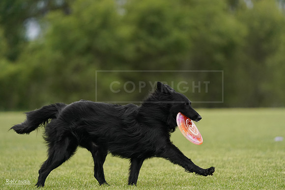 RielVisuals_20240526_133806_SJR08410