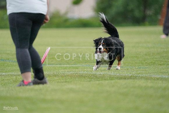 RielVisuals_20240525_164524_SJR05337