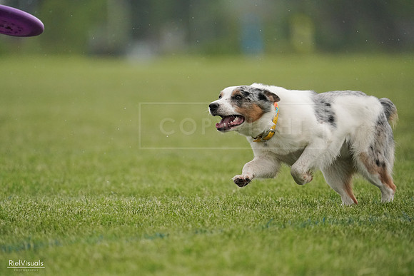 RielVisuals_20240526_092934_SJR00195