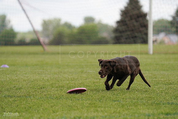 RielVisuals_20240527_140510_SJR01366
