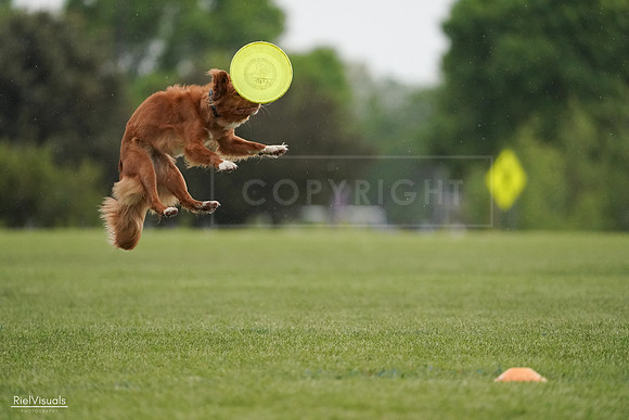 RielVisuals_20240526_093131_SJR00282