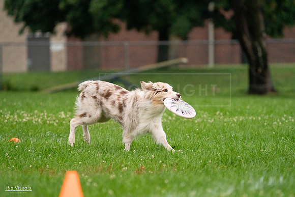 RielVisuals_20240722_193217_SJR01364
