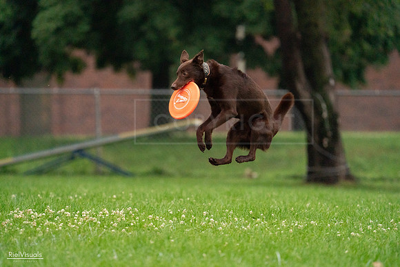 RielVisuals_20240722_194311_SJR01970
