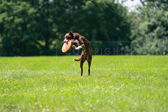 RielVisuals_20240728_123340_SJR04205