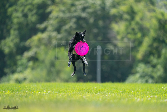 RielVisuals_20240727_125932_SJR06490