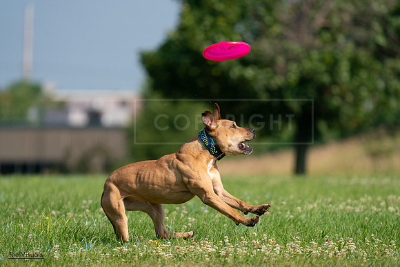 RielVisuals_20240727_093059_SJR06599