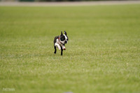 RielVisuals_20240527_142600_SJR02685