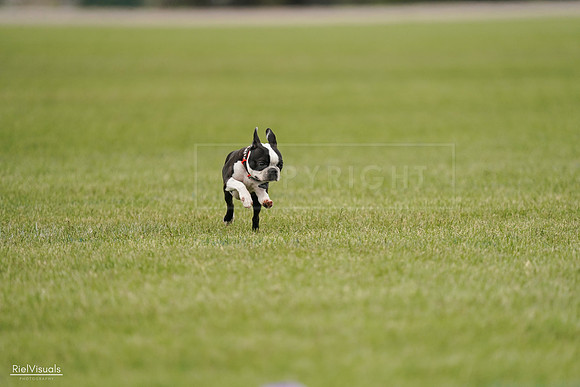 RielVisuals_20240527_142600_SJR02685