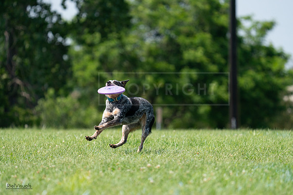 RielVisuals_20240728_145227_SJR09448