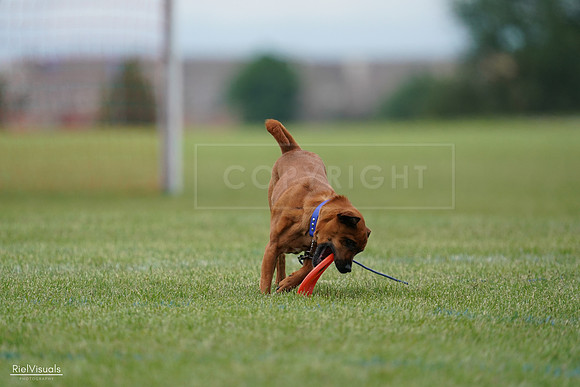 RielVisuals_20240527_142020_SJR02428