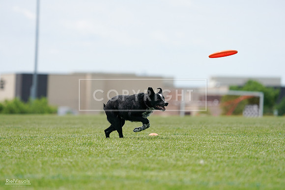 RielVisuals_20240525_124900_SJR01213