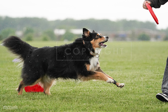 RielVisuals_20240526_094635_SJR01021