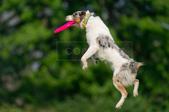 RielVisuals_20240727_092246_SJR06122