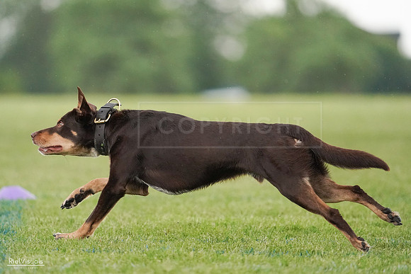 RielVisuals_20240526_095739_SJR01514