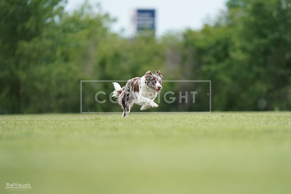 RielVisuals_20240525_161037_SJR03613