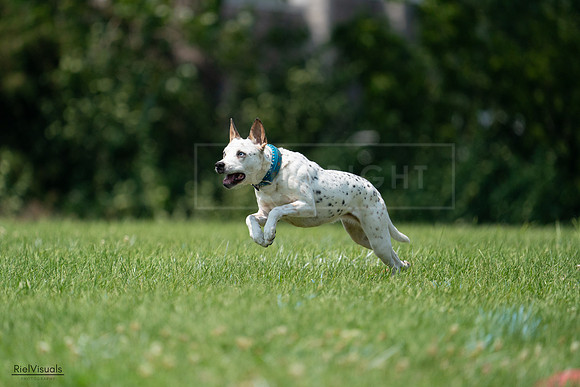 RielVisuals_20240727_134612_SJR08345