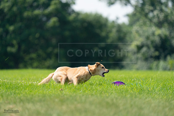 RielVisuals_20240727_115958_SJR04439