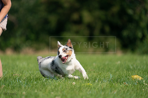 RielVisuals_20240727_100245_SJR08344