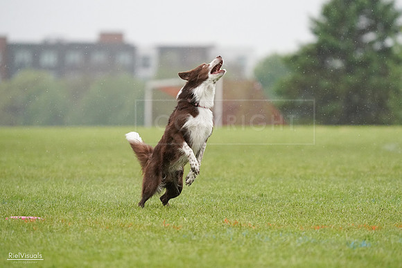 RielVisuals_20240527_104357_SJR01387