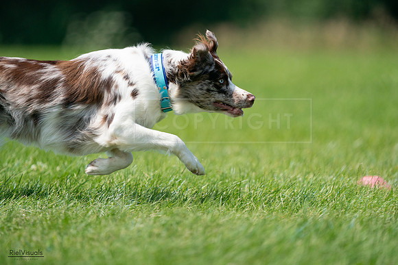 RielVisuals_20240728_114342_SJR01767