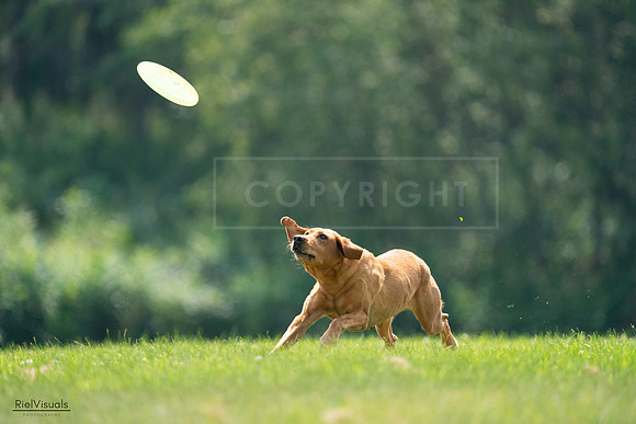 RielVisuals_20240727_122423_SJR05479