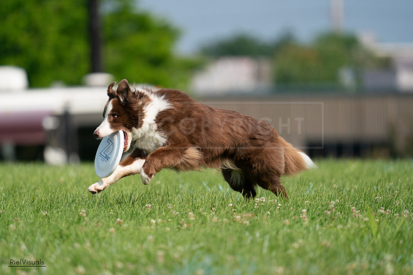 RielVisuals_20240727_093534_SJR06863