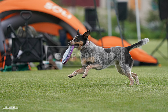 RielVisuals_20240525_164248_SJR05290